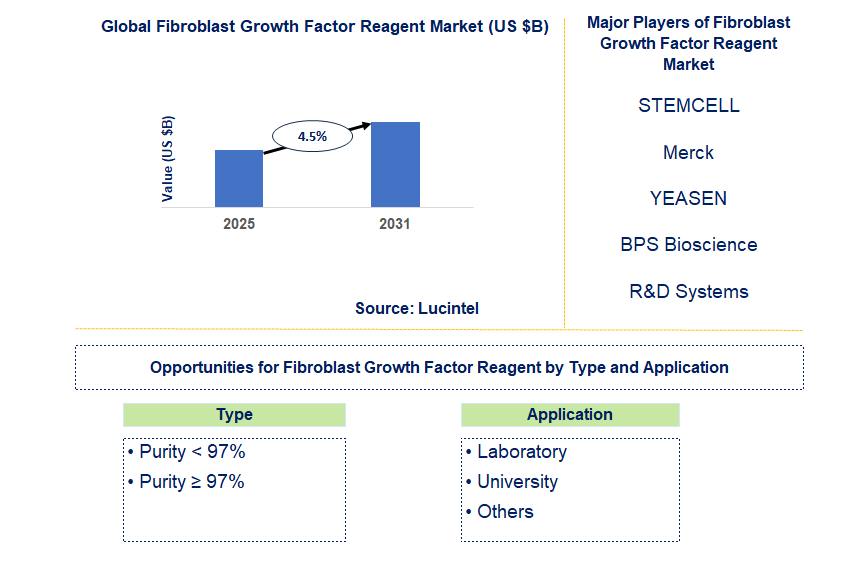 Fibroblast Growth Factor Reagent Market Trends and Forecast